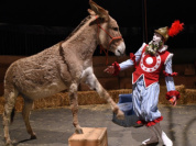 La Chanson de Roland au Théâtre de la Tempête