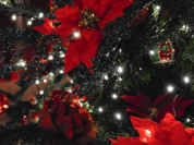 Menu de Noël 2020 et du Nouvel An 2021 du Sinner à emporter