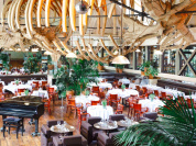 Alan Geaam à la tête des cuisines du Café La Jatte