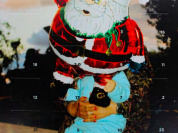 Le calendrier de l'Avent 2021 de La Maison Plisson signé Martin Parr