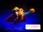 L'exposition LEGO des Super-Heros DC à la Villette