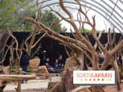 Zoo de Thoiry 2018 : les photos