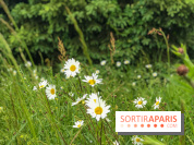 L'Arboretum de Versailles - Chevreloup