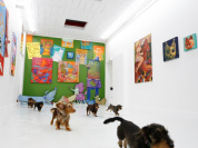 Museaux Galerie Bessaud - Aurore Legentil