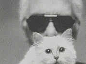 Exposition Karl Lagerfeld Sotheby's