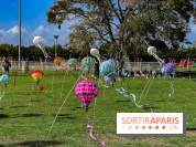 Festival de l'Air 2025 à Montesson (78) : montgolfière, cerfs-volants et concert gratuit en octobre