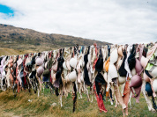 Journée mondiale de l'environnement : une œuvre upcyclée Etam x Desire Moheb Zandi 