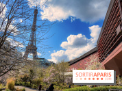 Visuel Paris, tour eiffel - Musée du Quai Branly