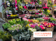 Visuel Paris marché d'Aligre fleurs