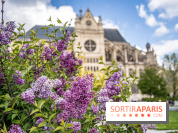 Visuel Paris Jardin Nelson Mandela Eglise Saint Eustache