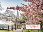 Visuel Paris Tour Eiffel cerisiers en fleurs