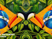 Bal do Brasil à La HALLE PAPiN