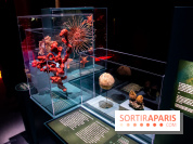 Océan, l'exposition à la Grande Galerie de l'Evolution