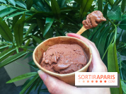 Les glaces au chocolat de Ducasse 