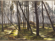 A bois perdu, l'exposition à la Fondation Custodia