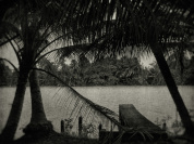 L'Odeur de la nuit était celle du jasmin : l'expo photo à l'Académie des Beaux-Arts