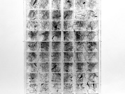 Vie Digitale, l'exposition de Rodolphe Barsikian à la Galerie Joseph