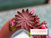 Pâques 2020 à l'InterContinental Paris Le Grand 