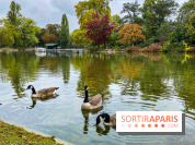 Visuel Paris, Lac Daumesnil bois de Vincennes