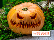 Halloween 2020 : comment creuser sa citrouille ? Le tuto