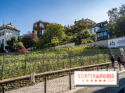 Montmartre Paris - fête des vendanges