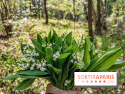 Muguet