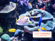 L'Aquarium Tropical de la Porte Dorée