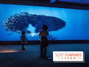 L'Aquarium Tropical de la Porte Dorée