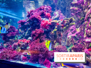 L'Aquarium Tropical de la Porte Dorée