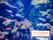 L'Aquarium Tropical de la Porte Dorée