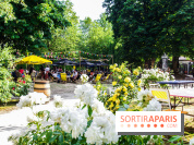 Rosa à l'Est - Porte Jaune, nos photos
