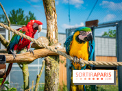 Parrot World, le parc animalier immersif d'Île-de-France