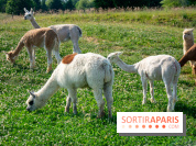 Parrot World, le parc animalier immersif d'Île-de-France