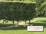 Le domaine royal de Marly et son musée !