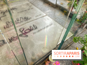 tombe gall berger arc en ciel