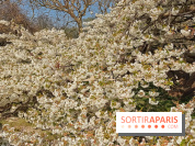 La Fête des sens s'invite au Jardin des Plantes