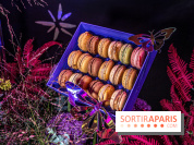 Bûches de Noël de Pierre Hermé 2021 et galettes 2022