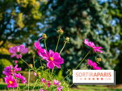 fleurs nature visuels actualités