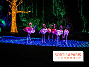 Thoiry Lumières Sauvages 2021-2022