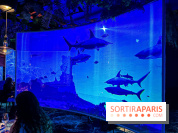 Ephemera, le premier restaurant immersif à Paris