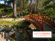 Les jardins du Musée Albert Kahn, nos photos 