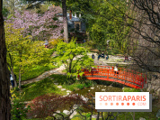 Les jardins du Musée Albert Kahn, nos photos  -  A7C8855 HDR