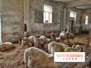 Le Château de Rambouillet et sa Bergerie nationale, un domaine d'exception en Ile-de-France