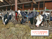 Le Château de Rambouillet et sa Bergerie nationale, un domaine d'exception en Ile-de-France