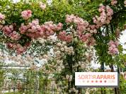 Photos : La Roseraie du val-de-Marne