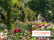 Photos La roseraie du Jardin des Plantes 