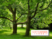 Arboretum de la Vallée-aux-Loups, une balade au milieu des arbres remarquables