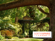Arboretum de la Vallée-aux-Loups, une balade au milieu des arbres remarquables