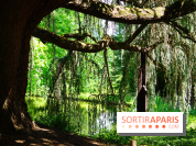 Arboretum de la Vallée-aux-Loups, une balade au milieu des arbres remarquables