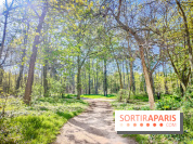 Visuels Paris - forêt bois de Boulogne nature soleil printemps